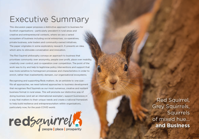 Front cover of the Red Squirrel discussion paper