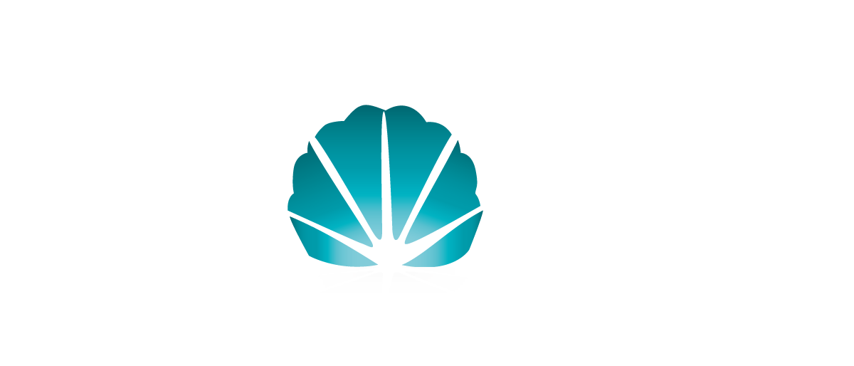 Strategy Story